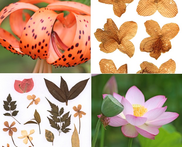artesanato com flores