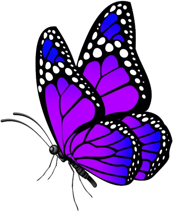 borboleta em png para imprimir