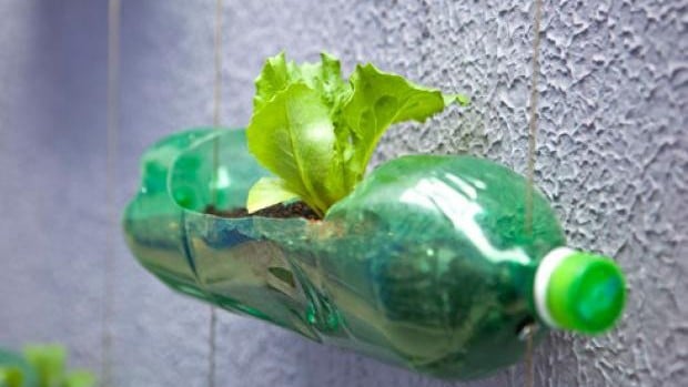 ideias de artesanato com garrafa pet para iniciantes