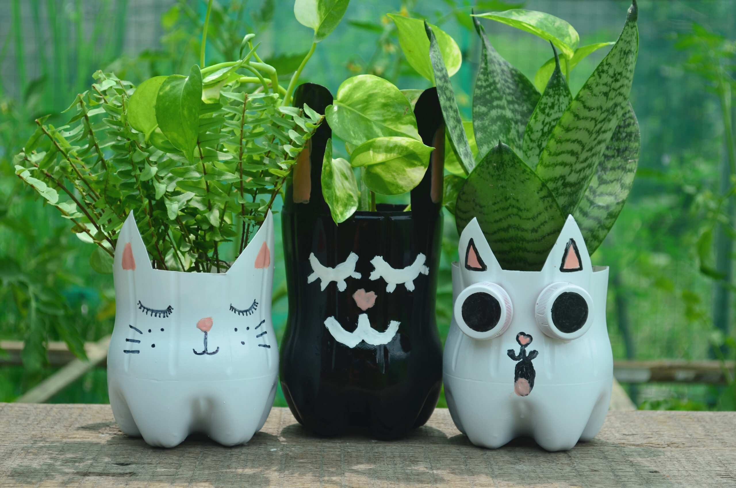 como decorar garrafas pet