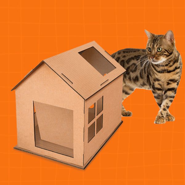 como fazer casa de gato de papelao
