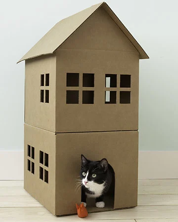 Benefícios do Papelão para o Conforto Térmico do seu Gato