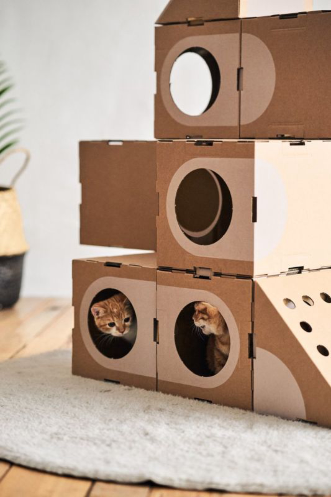 como fazer casa de gato de papelao