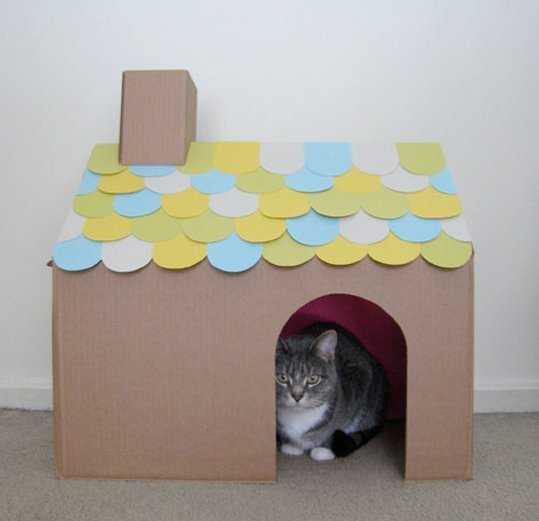 Ideias de Decoração Criativa para a Casinha de Papelão do seu Pet