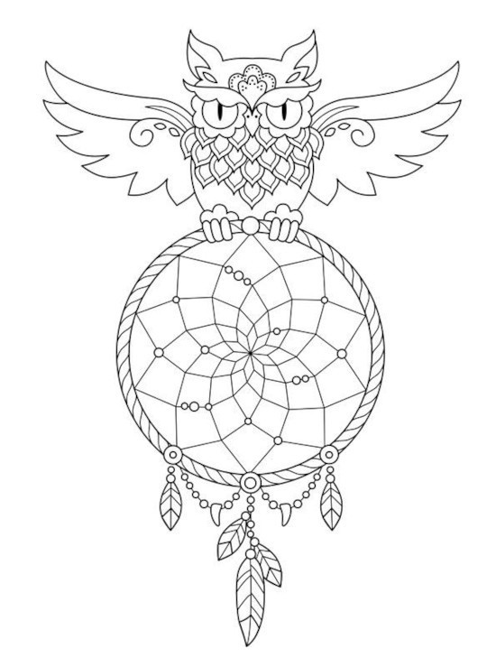 coruja filtro dos sonhos desenho