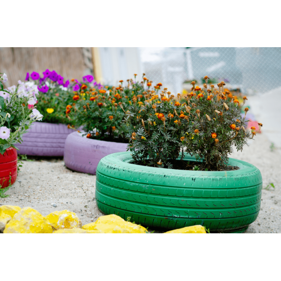 pneu vs vaso de cerâmica para plantas de jardim