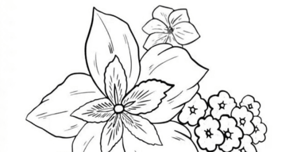 desenhos de natureza para pintar