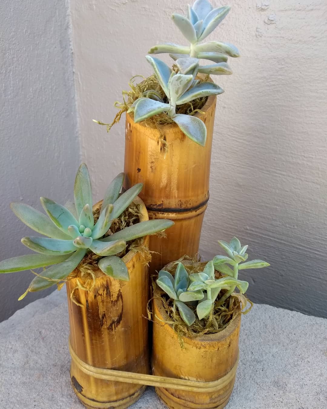 como fazer centro de mesa de casamento com bambu