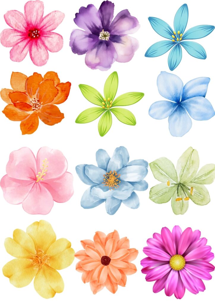 flores para colorir e recortar