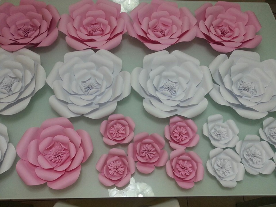 Cartolina e Mais