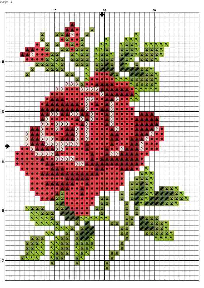 Gráficos de flores em ponto cruz para iniciantes