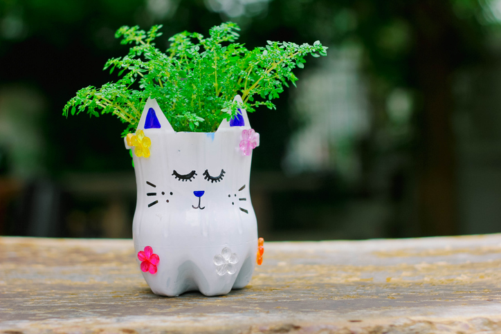 reutilizar garrafas PET para decoração
