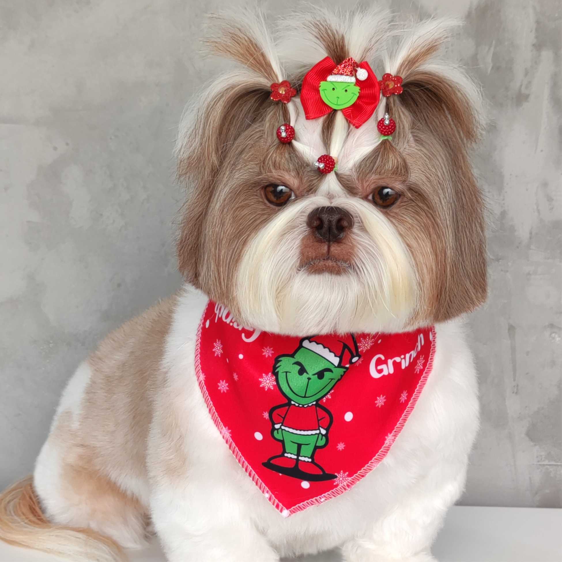 DIY: Faça Você Mesmo Laços de Natal Criativos para seu Pet