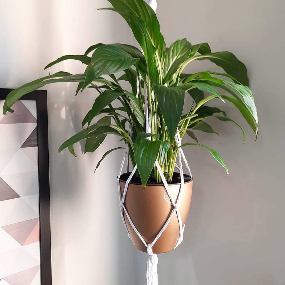 Os Melhores Materiais para Macramê: Onde Comprar e Quais Usar
