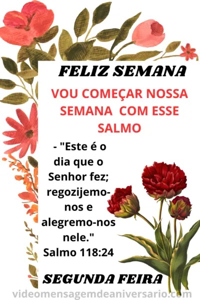 humor segunda feira