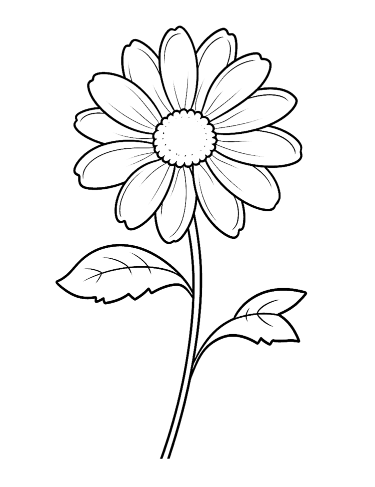 moldes de flores realistas para imprimir