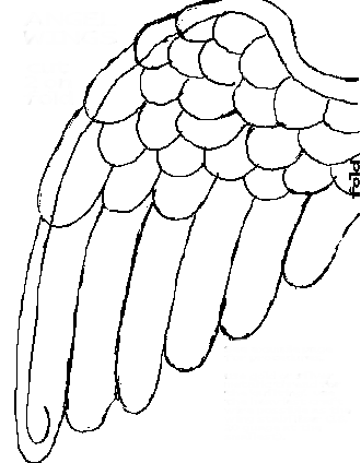 molde asa de anjo