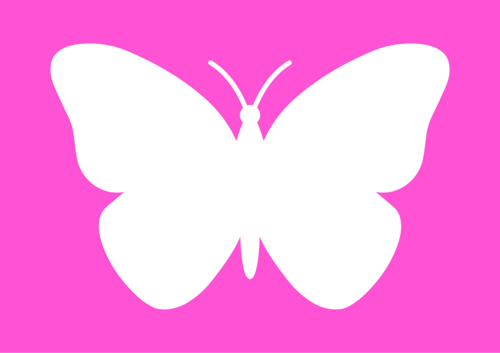 molde borboleta grande