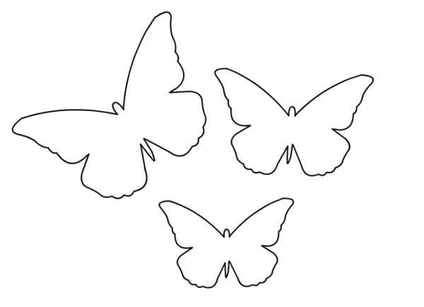 molde de borboleta