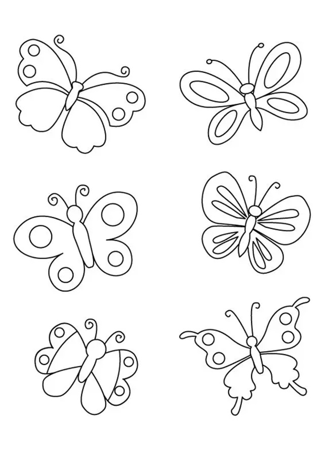 molde borboleta 3d decoração
