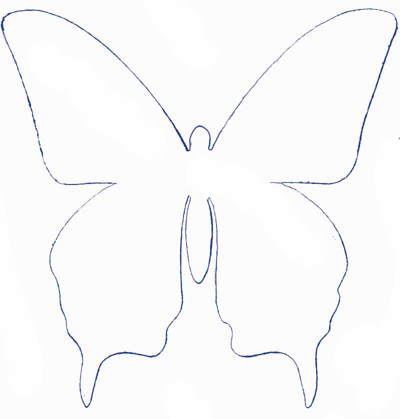 molde de borboleta para atividade escolar