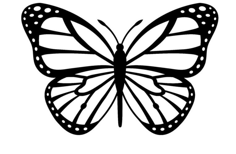 molde de borboleta para janela