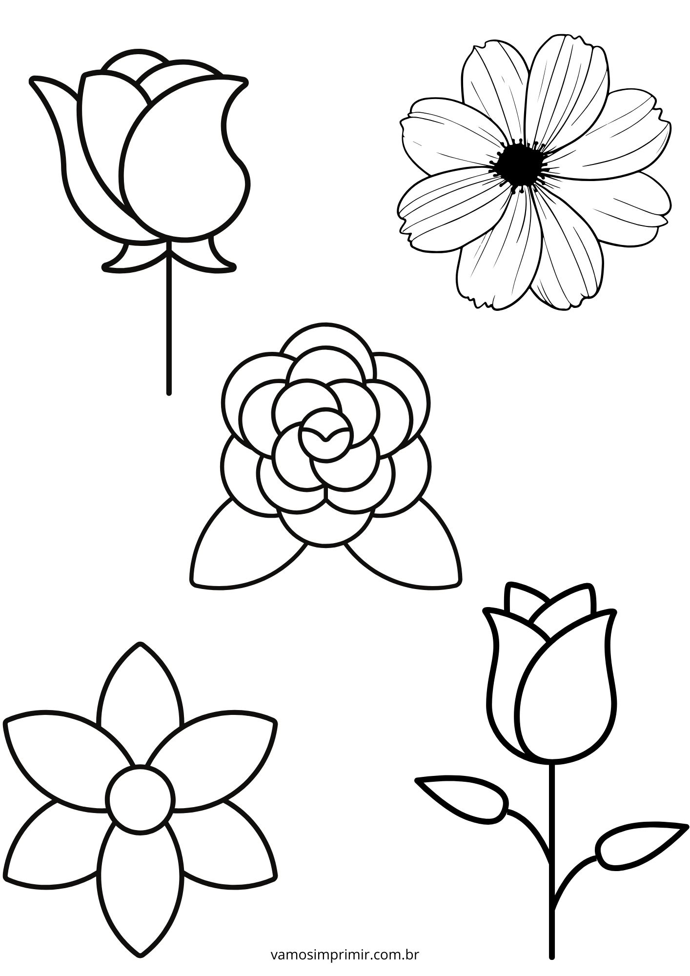 molde de petalas de flor em eva