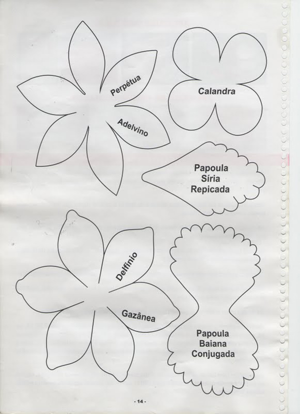 passo a passo flor de eva