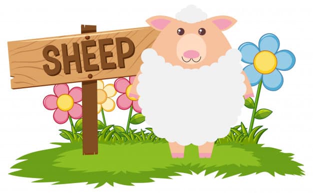 tag ovelhinha para imprimir