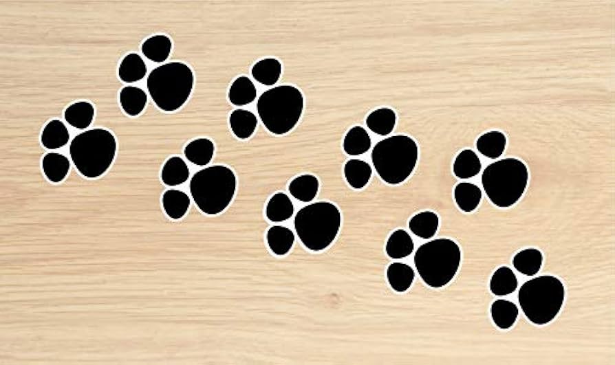 diy patinhas de coelho