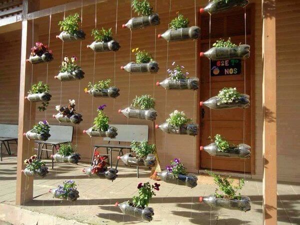 plantas na garrafa pet
