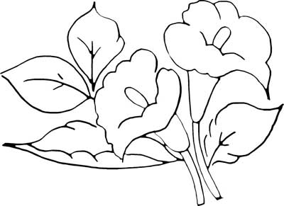 risco flor aquarela pano prato