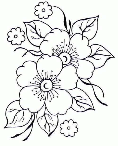 tipos de flores para riscos