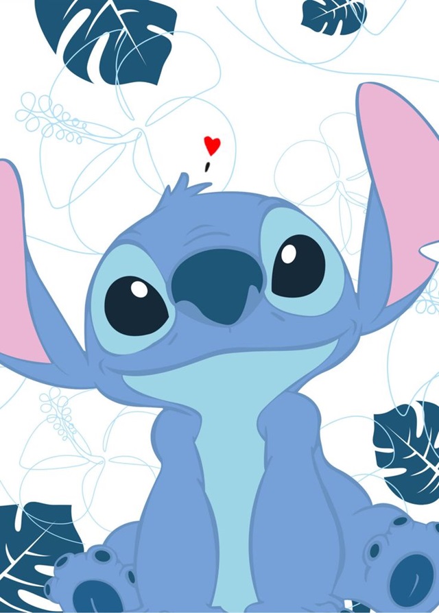 capa edredom stitch