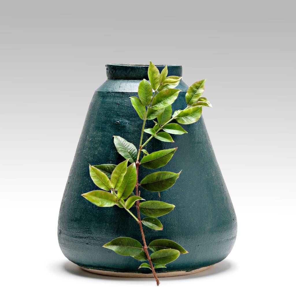 problemas comuns com vasos ceramicos e como evitar