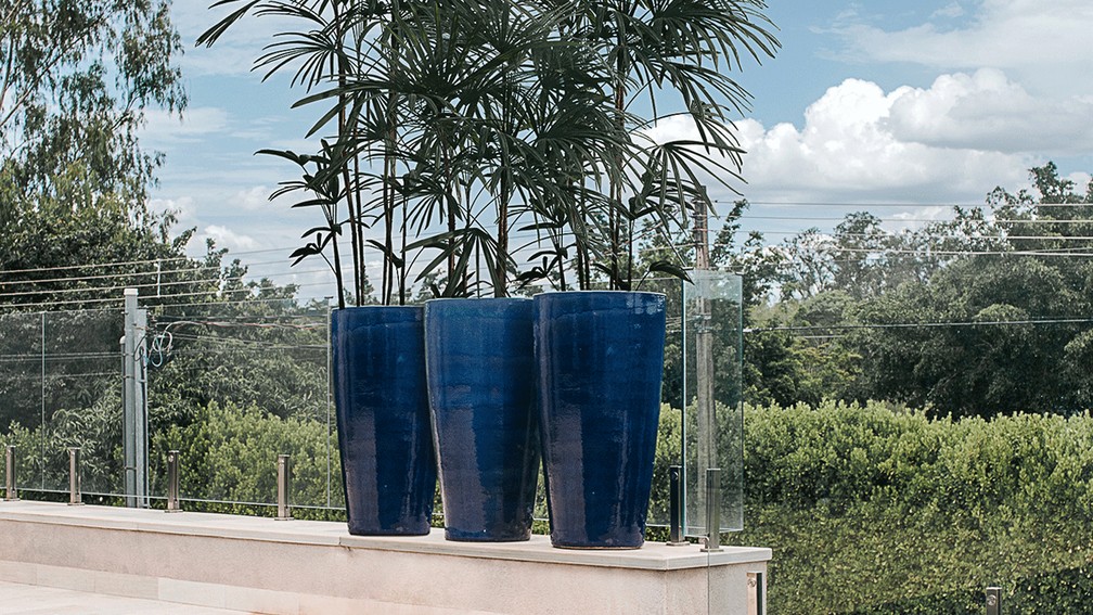 problemas comuns com vasos ceramicos e como evitar