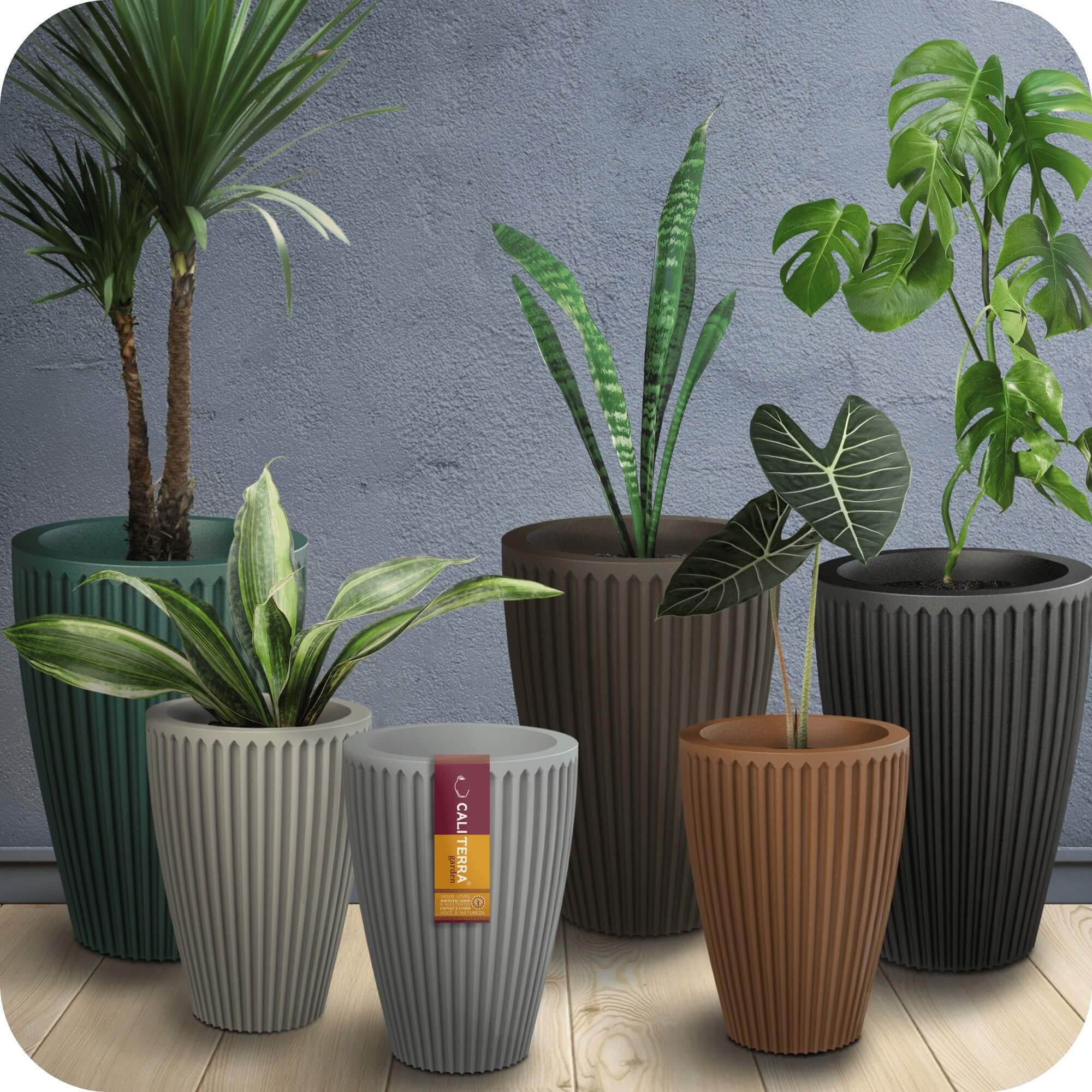 vaso ceramico vs vaso de cimento qual escolher