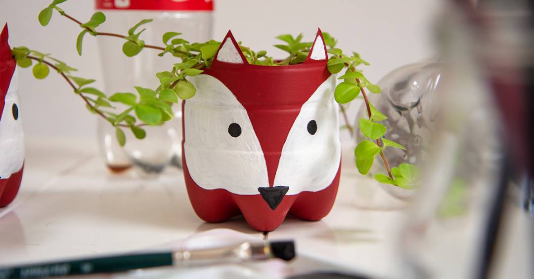 vasos de plantas com garrafa pet