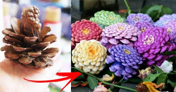 pinhas naturais para artesanato
