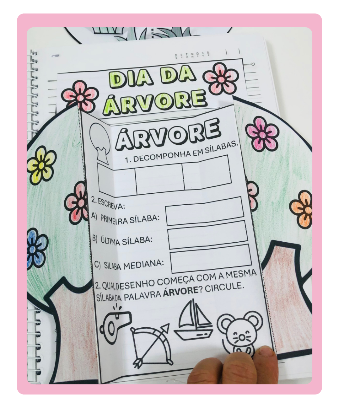 educação ambiental dia da arvore 2 ano