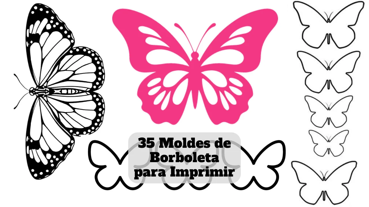 template de borboleta para atividades escolares