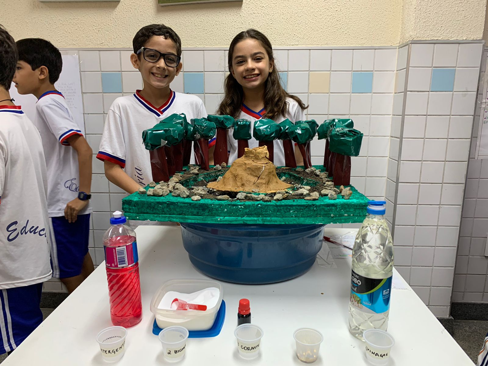 como fazer um projeto de feira de ciências