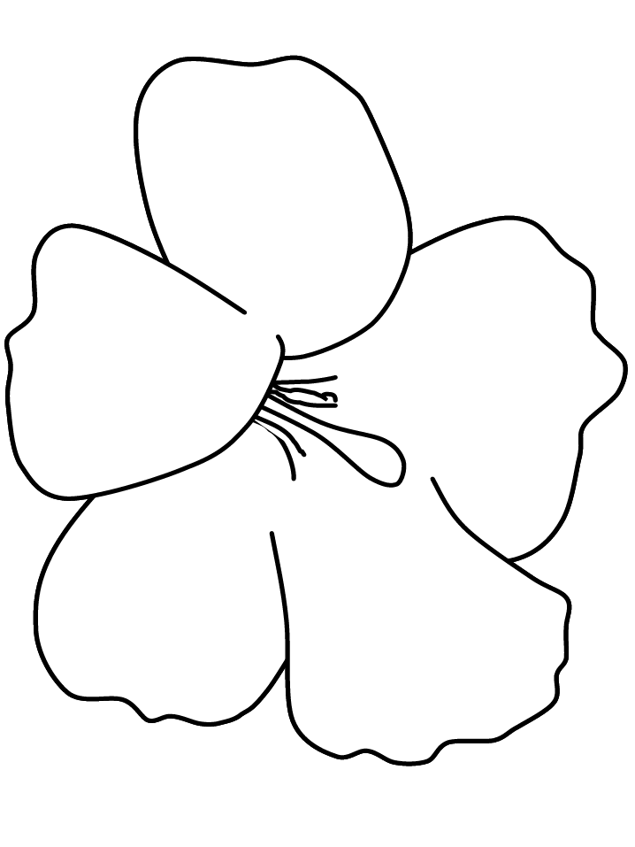 molde de flor para E.V.A.
