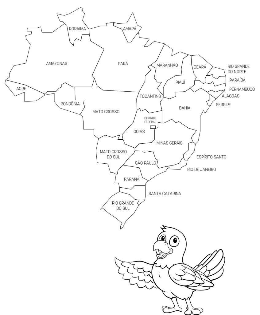 atividade geografia regiões brasil